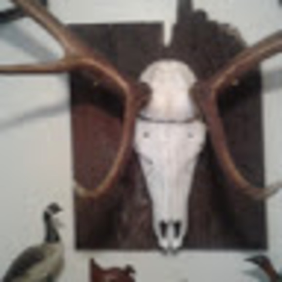 williamford262
